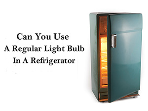 Can-You-Use-A-Regular-Light-Bulb-In-A-Refrigerator